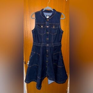 Venus denim dress
